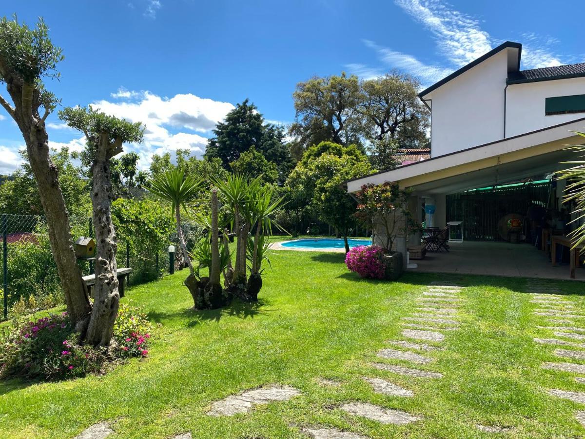 Paço de Sousa Olival Houseヴィラ エクステリア 写真