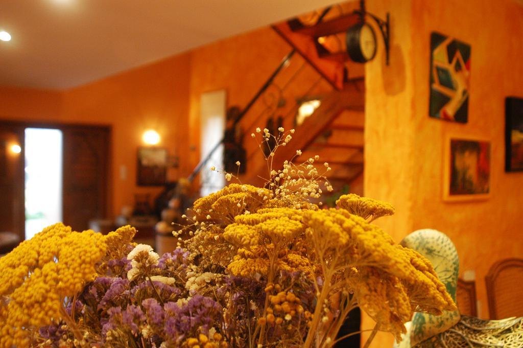Paço de Sousa Olival Houseヴィラ エクステリア 写真
